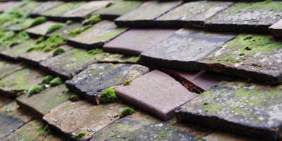 Chittering roof repair costs